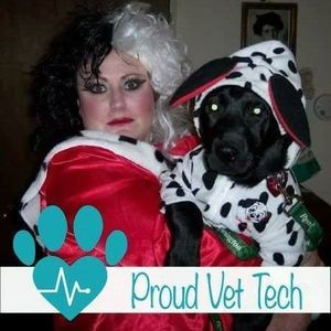 Meet your Posher, Bobbie